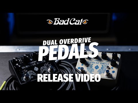 Bad Cat Siamese Drive Dual Harmonic Overdrive image 3