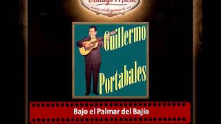 Guillermo Potabales – Bajo el Palmar del Bajío