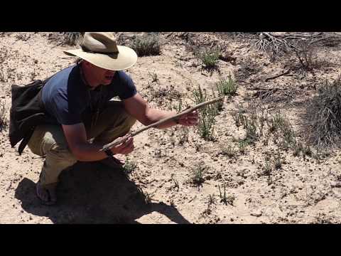 Finding North With a Stick and the Sun
