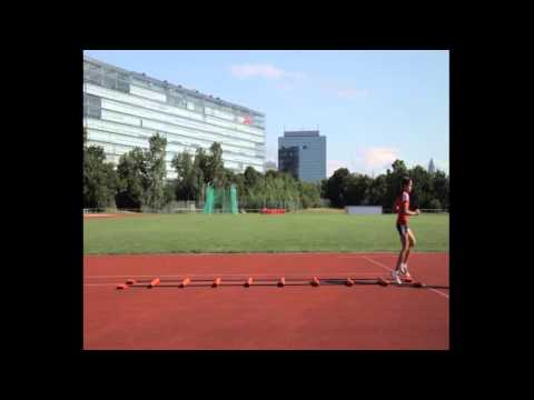 Koordinationsleiter - Übung 1c