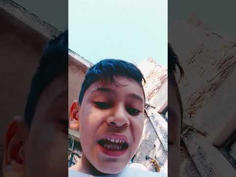 13 de noviembre de 2025