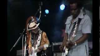 Stevie Ray Vaughn &amp; Johnny Copeland - Tin Pan Alley (Montreux 1985)