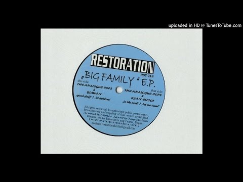 The Analogue Cops & Blawan - 45 Dollars