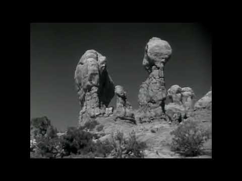 (Footage Video) FOGEL 17 - SIEBEN/FF [PROD. JETA x KID MONO]