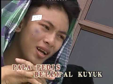 Sebening lalat (Maxwel Franklin Saran)