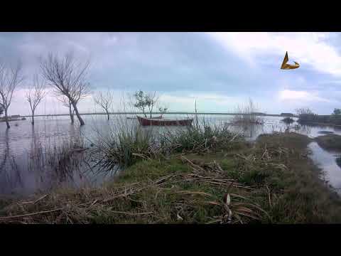 Puerto de La Riviera