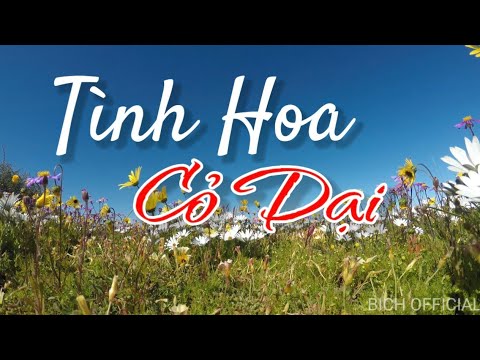 Tình hoa cỏ dại - Công nghệ AI