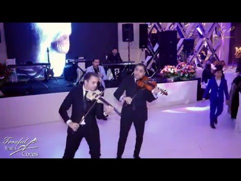 Program cu Taraful Fratii Cocos partea 1