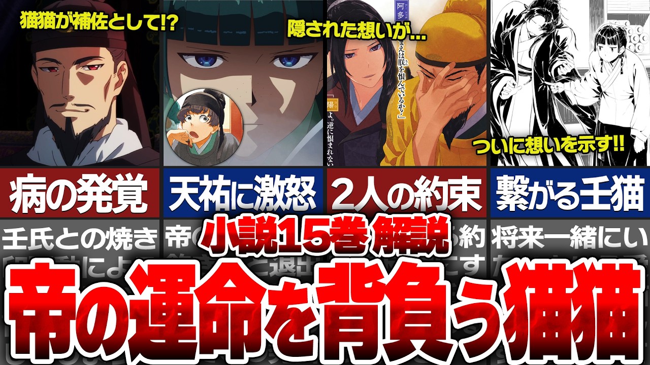 【薬屋のひとりごと】小説15巻解説！阿多と帝の関係性が辛すぎる…猫猫が羅門の補佐として手術に加担し帝の運命を背負うことに！？【ゆっくり解説/考察】