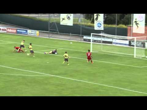 FIFPro Tournament 2014 - Slovenia - Switzerland