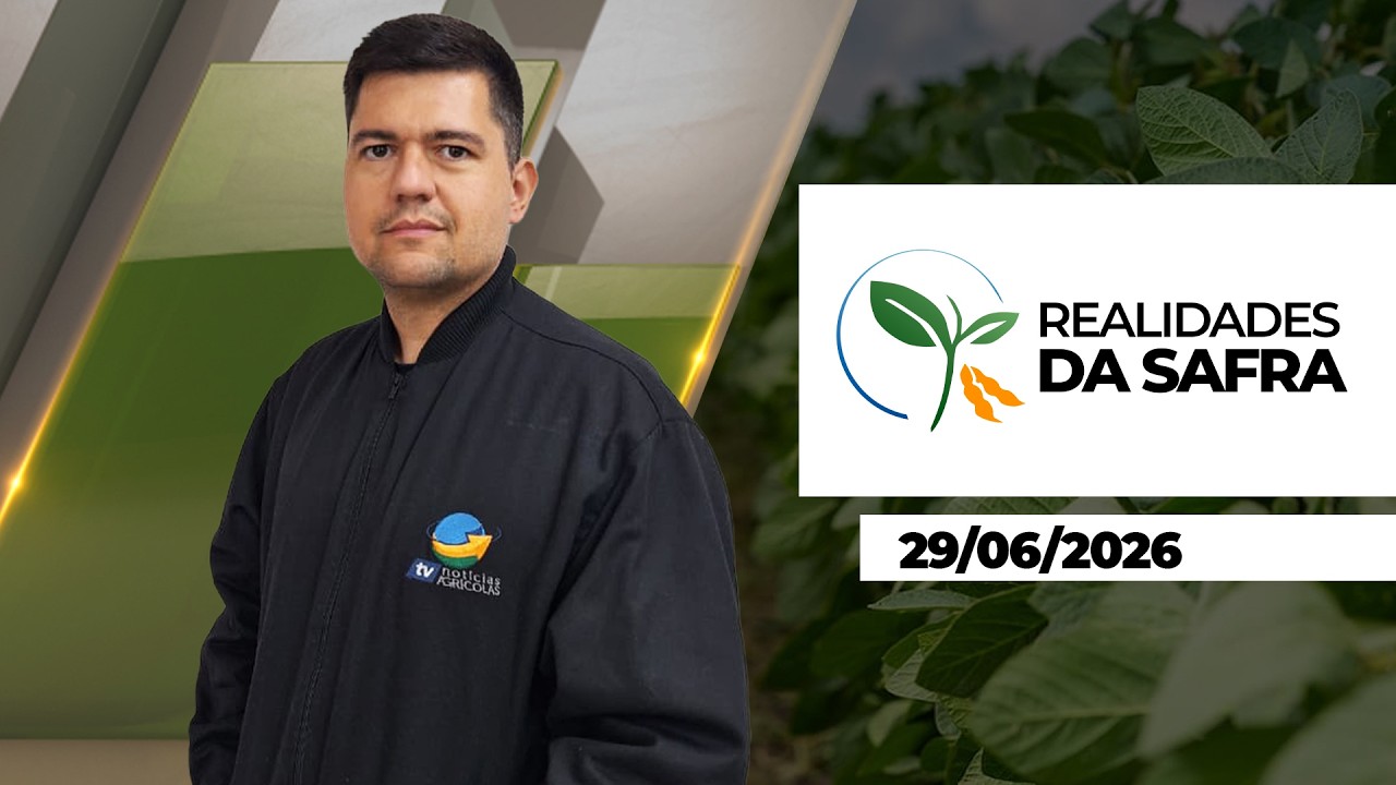 REALIDADES DA SAFRA - EDIÇÃO 29-06-2026