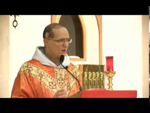 Oct 18 - Homily: St. Luke, Apostle?