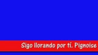 Sigo llorando por tí. Pignoise