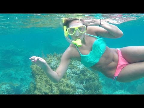 BVI 2015 Snorkeling the Indians and Norman Island
