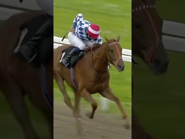 Thumbnail for Post ID: yBQO7ffvYHc