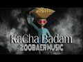 Kacha Badam (Full Song) |  Animated Music Video | @ZOOBAERmusic