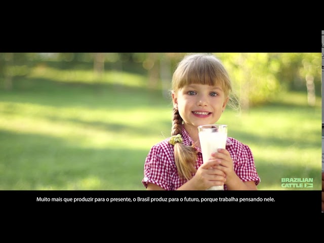 Institucional Brazilian Cattle