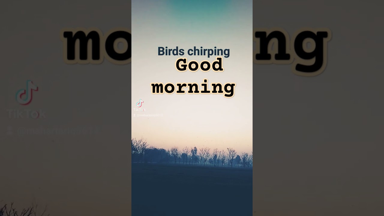 good morning #birds #chipring#sound#youtube #youtubepakistan #vlogs
