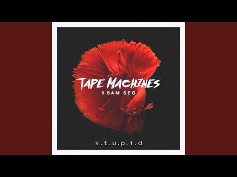 s.t.u.p.i.d