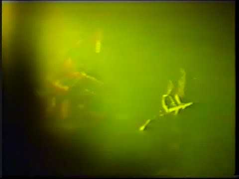 Pantera Live 1994 09 17