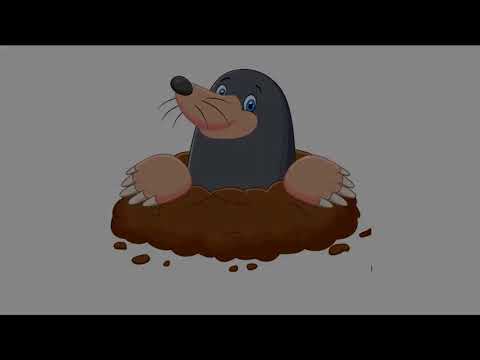 Jaromír Nohavica: Metro pro krtky (s titulkami)