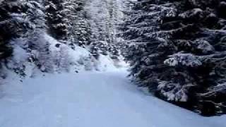 preview picture of video 'Ski down Speiereck mountain'