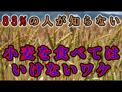 レオン小麦 - 定義