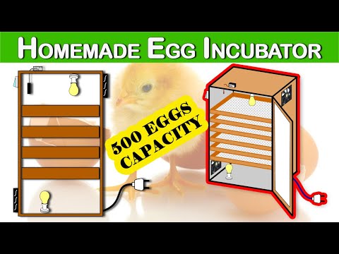 , title : 'Build A Manual Egg Incubator | 500 Capacity Homemade Incubator | Cheap, Easy And Energy Efficient'