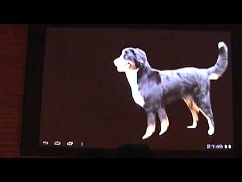 Item video thumbnail