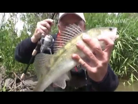 Dropshotting from the shore with Dietmar Isaiasch