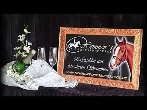 "Escamor" Escolar x San Amour Hengst/colt born 25.01.21 (Rudilore-Stamm/Rudilore-dam-line)