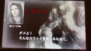 MGS SE 3D ネタ無線 オウム