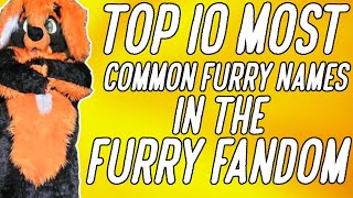TOP 10 MOST COMMON FURRY NAMES IN THE FURRY FANDOM