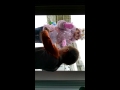 Snow lilly - YouTube