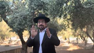 ראה נתתי לכם את הר המוריה | הרב אליהו ובר (ישיבת הר הבית) - התמונה מוצגת ישירות מתוך אתר האינטרנט יוטיוב. זכויות היוצרים בתמונה שייכות ליוצרה. קישור קרדיט למקור התוכן נמצא בתוך דף הסרטון