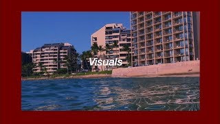 Frank ocean - seigfried