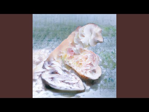 Download Frums - of Ambrosia MP3