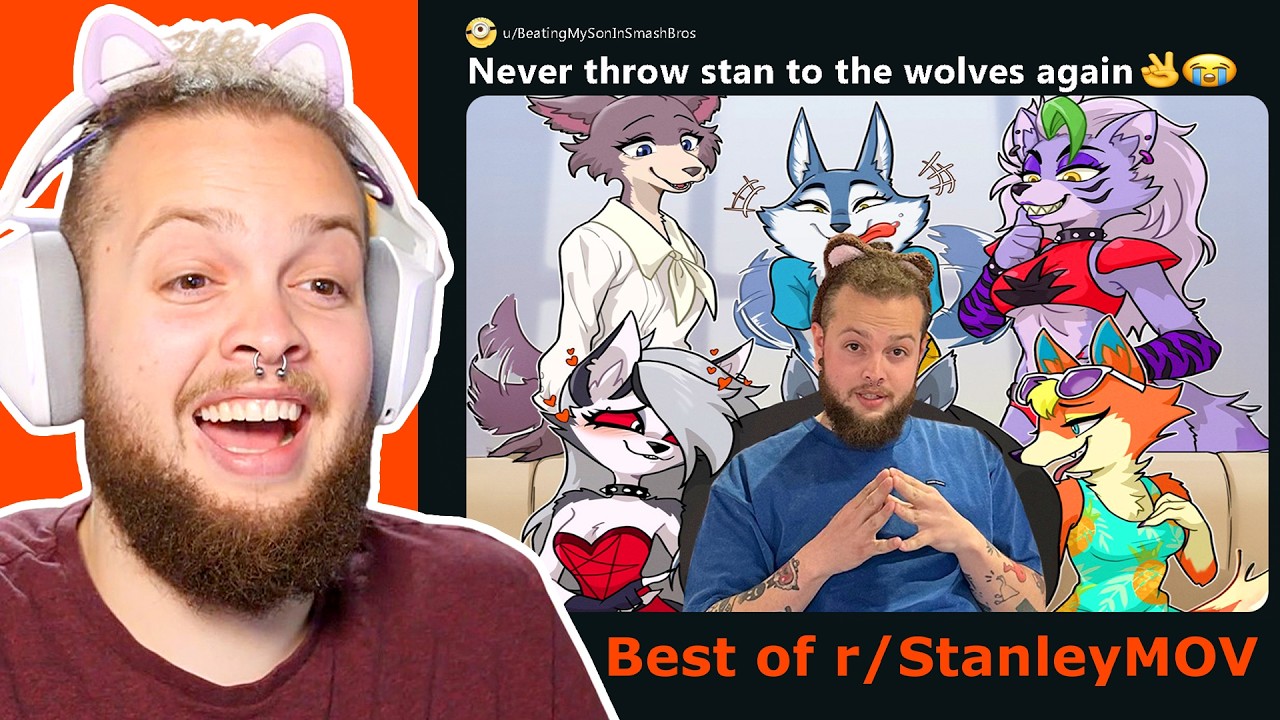 Best of r/StanleyMOV 2025