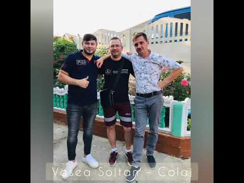 Vasea Soltan Colaj 2020