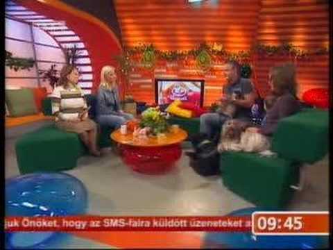 Enci, Zsuzsi,Klári, Pityke, Bojszi, Kukla Miki az RTL Kubban