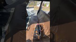 1966 Chevrolet Impala Station Wagon - Walk Around