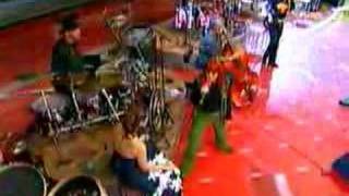 erva venenosa rita lee altas horas