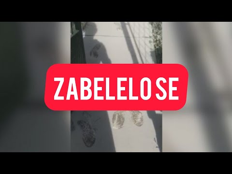 ZABELELO SE U ČAČKU, ALI NE OD SNEGA: Neverovatna scena na ulici, kao da je vejalo usred zime