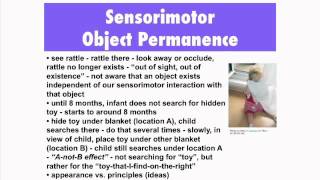 Lec 17 | MIT 9.00SC Introduction to Psychology, Spring 2011