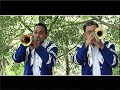 SAGITARIO MUSICAL - LA ESTRELLA (Video Oficial)