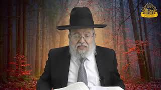 דף היומי בחצי שעה - יבמות דף ס"ח