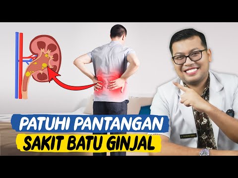 PANTANGAN MAKANAN DAN KEBIASAAN SAKIT BATU GINJAL - DOKTER SADDAM ISMAIL
