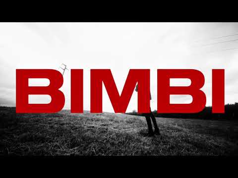K1B4 - BIMBI (visual video)