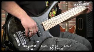 Video thumbnail for Warwick Sound Examples: The Fortress LTD 2014 5-String by Framus & Warwick