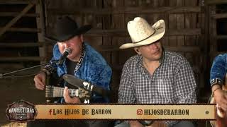 La primera caricia  hijos de barrón en vivo